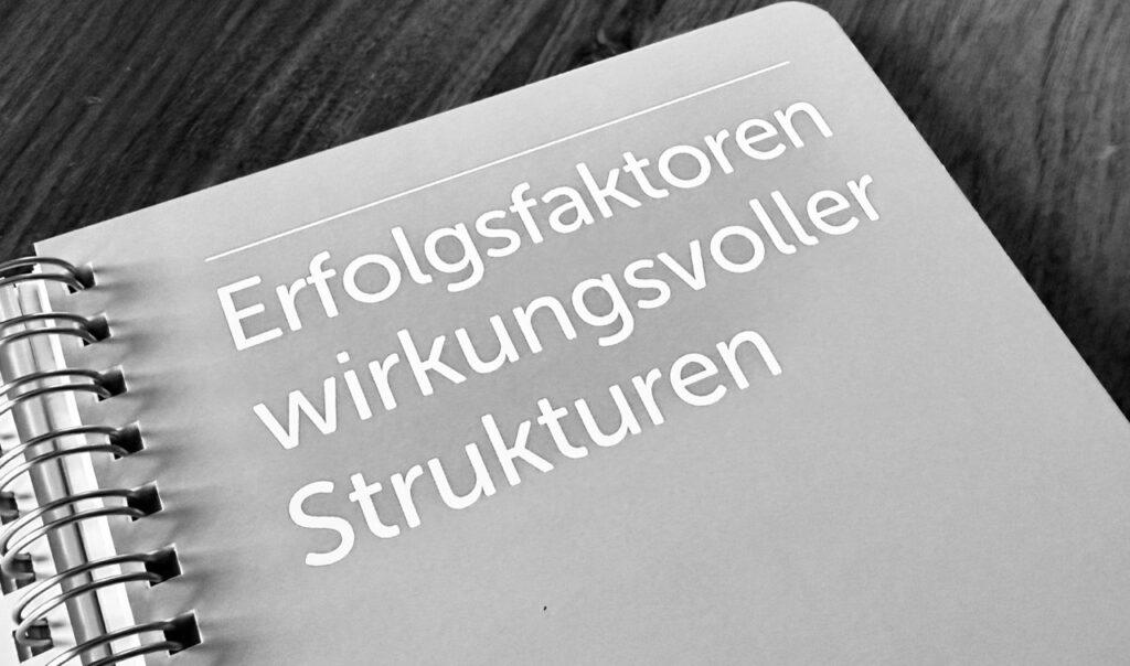 Pocketguide - Detailaufnahme des Kapiteldeckblatts Erfolgsfaktoren